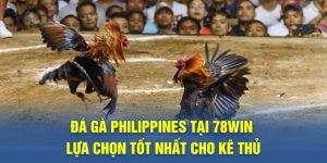 đá gà Philippines