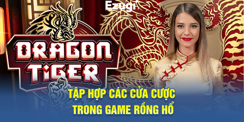 Tập hợp các cửa cược trong game Rồng Hổ